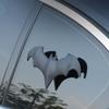 No-Punch Tail Modification 3D Bat Decor Car Sticker for Halloween, 1Pcs Auto Body Decal