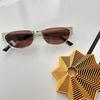 European American Style Women Sunglasses Cat Eye Shape UV Protection Fashion Stylish Outdoor Sun Glasses