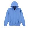 Gildan Childrens/Kids Heavy Blend Hoodie
