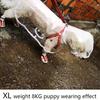 Transparent Waterproof Dog Raincoat, Raincoat for Small and Medium-Sized Dogs, Teddy and Bichon Frise Dog for Rainy Days Walking