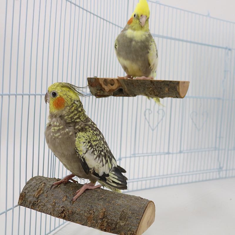 Premium Pole High Quality Parrot Apple Wooden Jumpboard Parrot Rest Platform Jumping Platform Grinding Claw Bird Standing Stick Standing