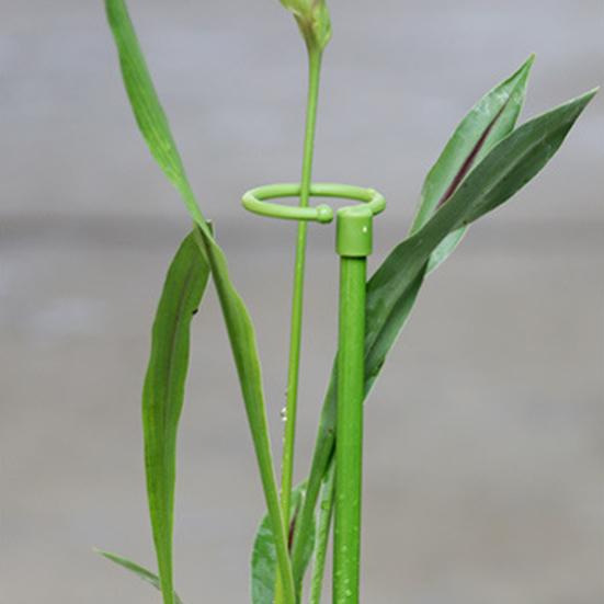 Pot Stand Shape Plant Anti-rust Durable Anti-deformed Long-lasting Wide Applications Reusable Plant Climbing Sturdy Plant Support Stakes for Amaryllis