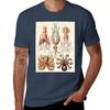 Ernst Haeckel Gamochonia Vintage Science Illustration Tshirt Soft Casual Short Sleeve Cotton Tee