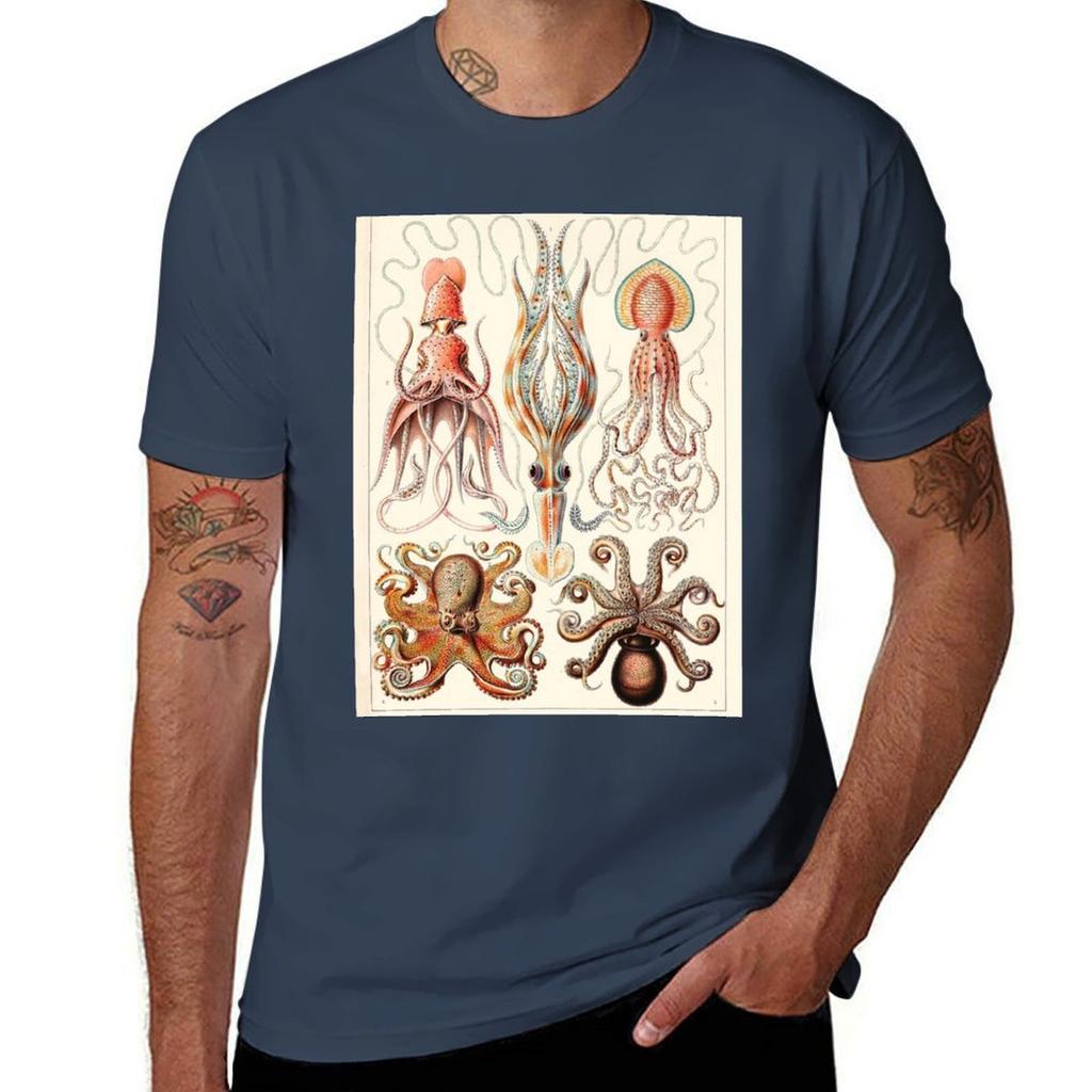 Ernst Haeckel Gamochonia Vintage Science Illustration Tshirt Soft Casual Short Sleeve Cotton Tee