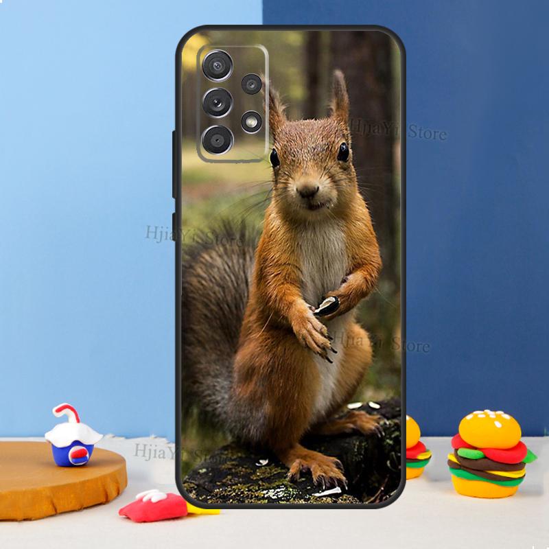 Squirrel Case For Samsung A54 A34 A14 A13 A23 A33 A53 A73 A51 A71 A72 A12 A22 A32 A42 A52 Back Cover