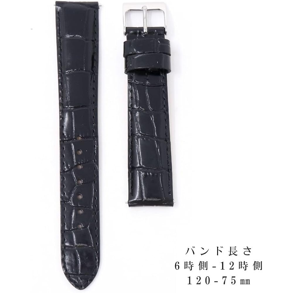 Seiko Band 20mm Cowhide Men's Black Black Watch Strap with Seiko Care Instructions RS03C20BK
