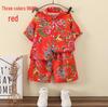 Boys' Hawaiian Floral Shirt & Shorts Set - Stylish Summer Beachwear for Kids