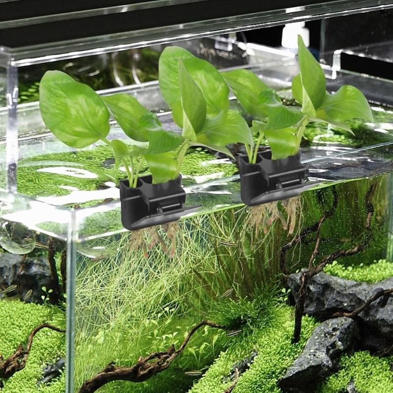 Hydroponic Rack for Aquariums Border Featuring Adjustable and Durability ABS Construction for Plant Displays