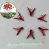 50PCS Plant Grafting Clip Plastic Gardening Tool For Cucumber Eggplant Watermelon Round Mouth Flat Mouth Anti Fall Clamps