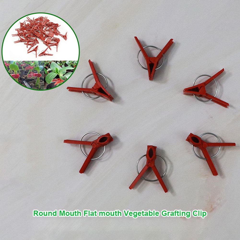 50PCS Plant Grafting Clip Plastic Gardening Tool For Cucumber Eggplant Watermelon Round Mouth Flat Mouth Anti Fall Clamps