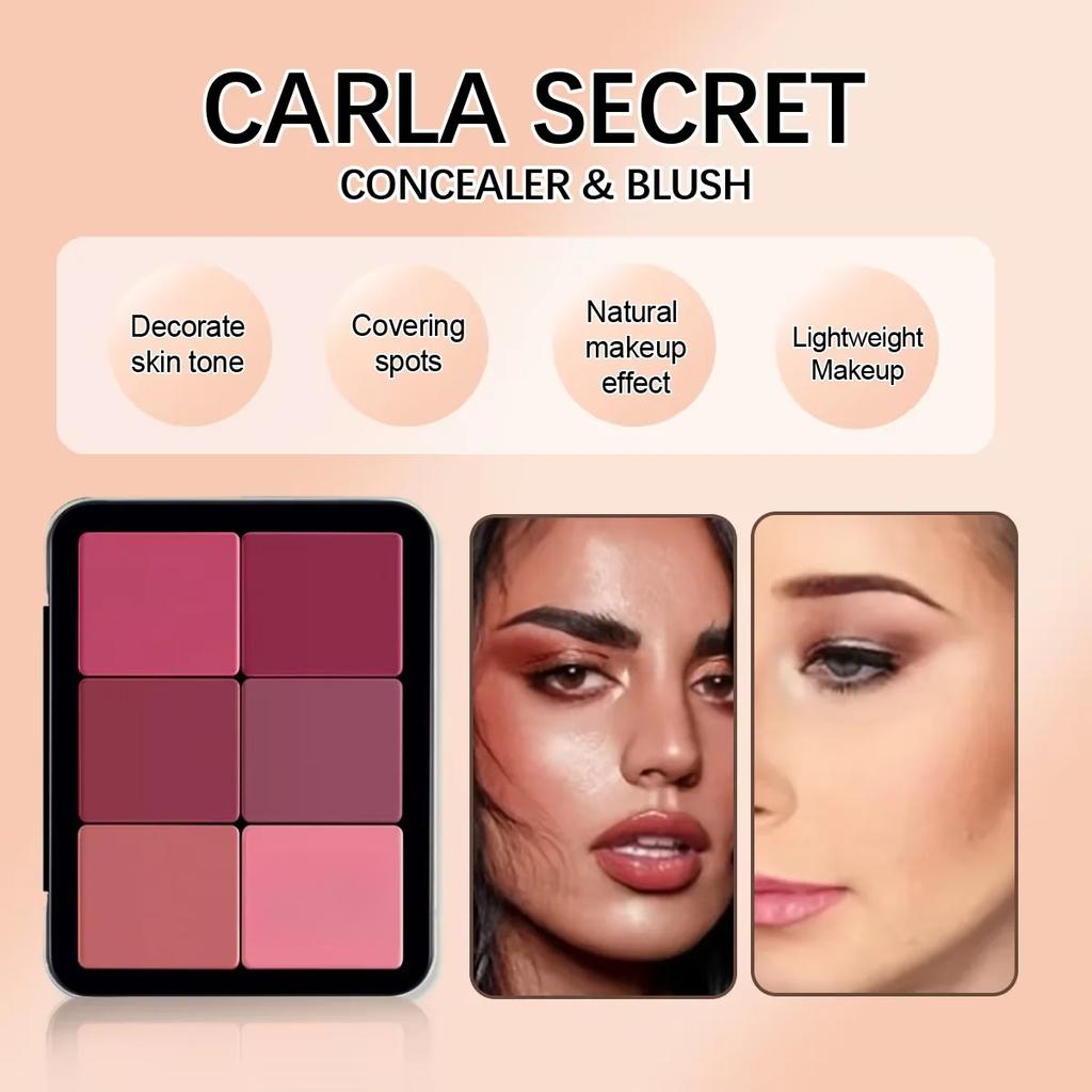 12-color Concealer and Blush Palette Matte and Highlight Contour Makeup Rouge Palette