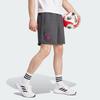 Adidas GERMANY TRAVEL SHORTS Soccer Bottom Men's Carbon IU2099