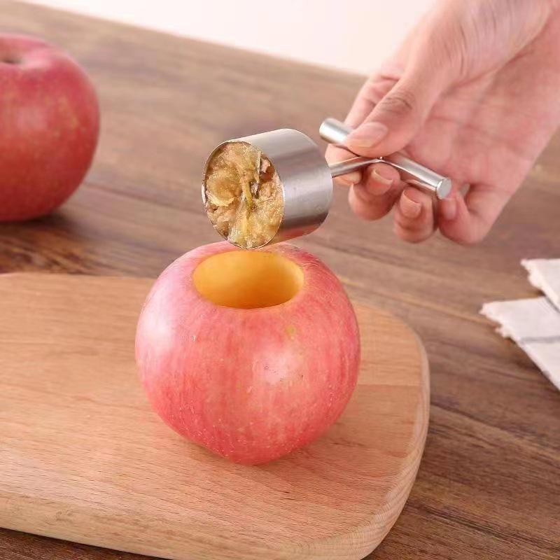 Stainless Steel Fruit Corer & Pitter for Pears and Apples