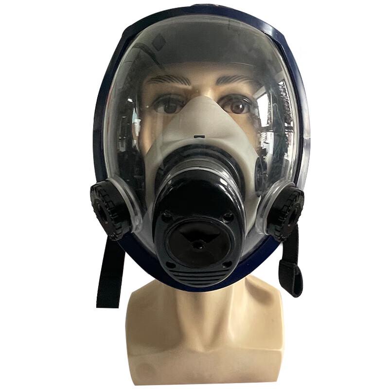 Hulidun CF02 Full Face Respirator Mask