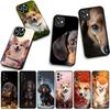 Corgi Dachshund Dog Phone Cover for Samsung Galaxy S25 S24 S22 S23 FE Ultra Plus A56 A05 A06 A15 A16 A55 S7 Edge Case