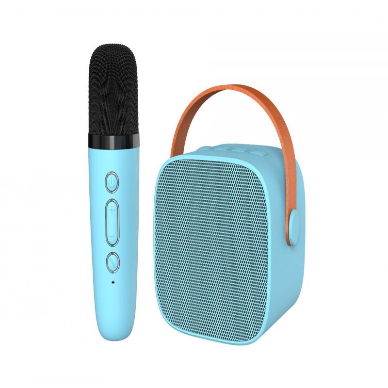 Kabelloser Bluetooth-Karaoke-Lautsprecher mit abnehmbarem Mikrofon, tragbares Heim-/Kinder-/Party-/Gesangs-Karaoke-Gerät