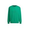 Graphic Sweatshirt Men's Smoke Green IT3976