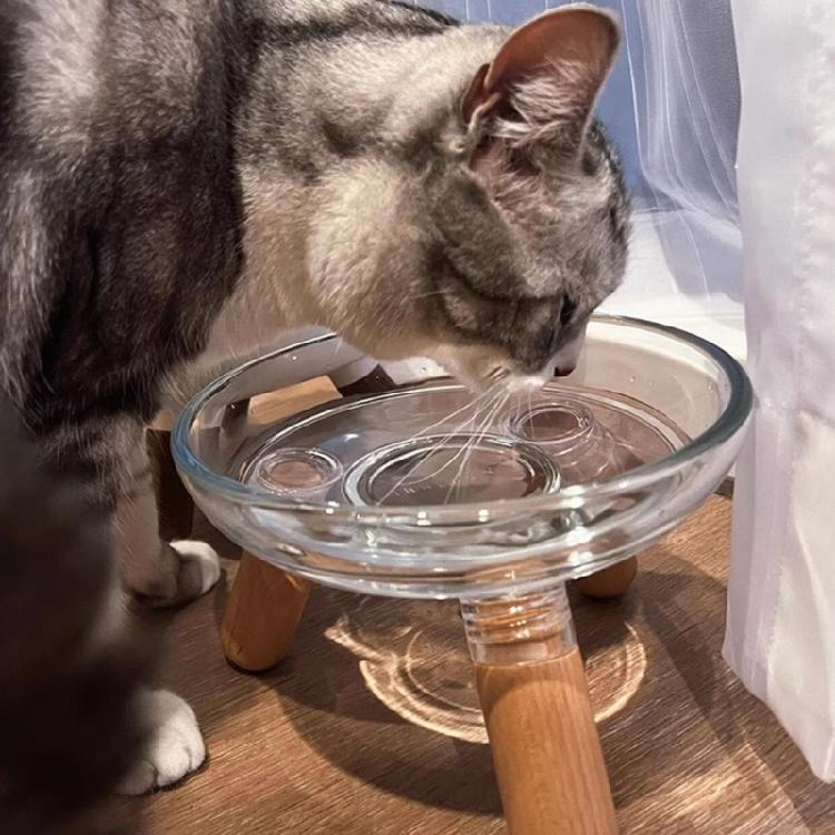 Elevated Dog Bowl Set Insert Dish Feeders And Easy To Clean Design For Small To Large Dogs Feeding Stand