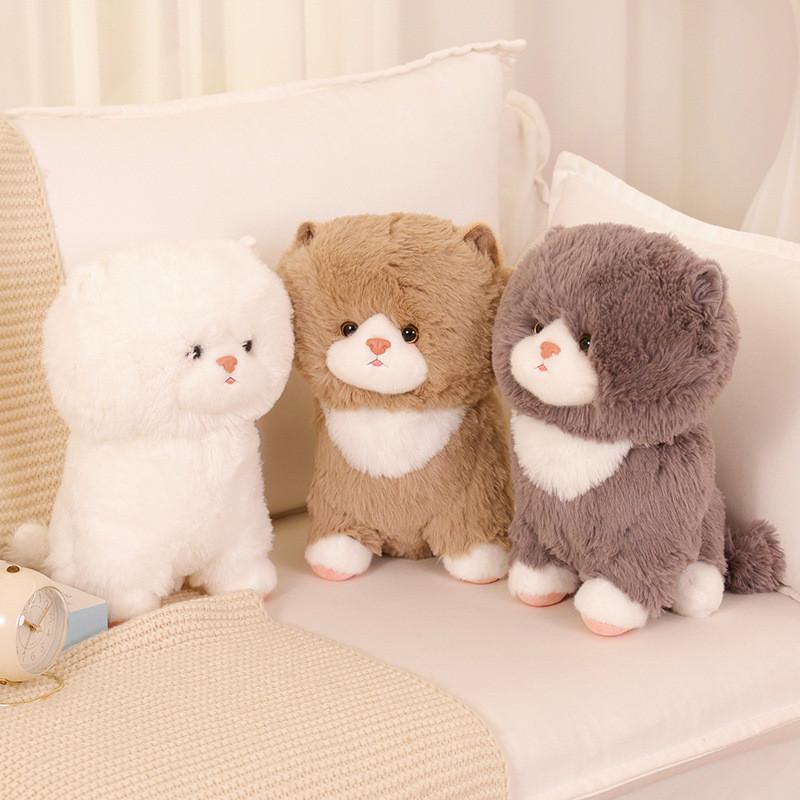 Ragdoll Cute Cat Cartoon Plush Toy Pillow Bedroom Decor Children Giving Gift
