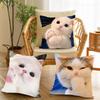 Funny Cat Cartoon Cute Pillow Case Suitable For Bedrooms Living Rooms Cars Home Decoration