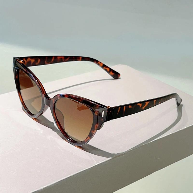 Cat Eye Sunglasses Women  New in Vintage Fashion Casual Decor Shades Trendy Brand Design Candy Color Rim Sun Glasses