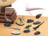 Calorata 3D Fish Figures Species Includes Realistic Toy Birthday Gift Sanitation Law Realistic Figure Box Gift Deep-Sea (7 / Instructions)