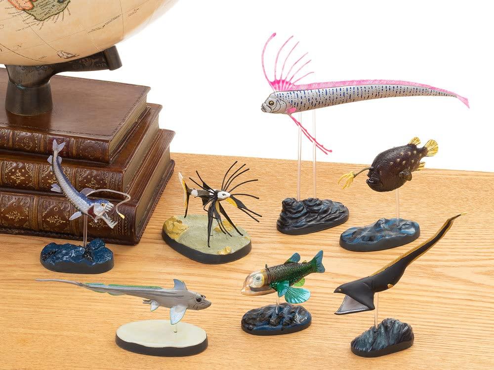 Calorata 3D Fish Figures Species Includes Realistic Toy Birthday Gift Sanitation Law Realistic Figure Box Gift Deep-Sea (7 / Instructions)