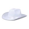 Western Cowgirl Hat for Girl Kids Theme Party Cowgirl Hat Sun Protective Hat