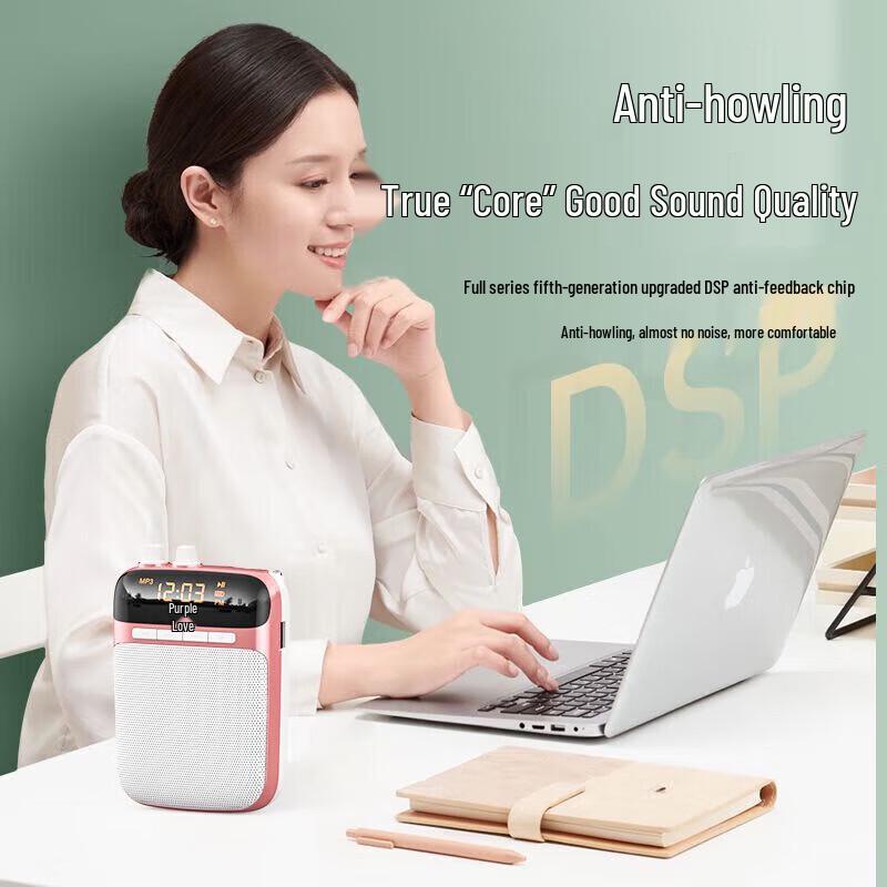 Soai S318 Portable Amplifier