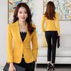 Giacca Blazer da Donna di Alta Qualità Autunno Ufficio Donna Abbigliamento Formale da Lavoro Piccolo Abito Blazer Monopetto