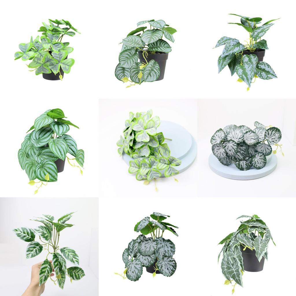 Sztuczna zieleń pnąca Shamrock do dekoracji ścian wewnętrznych z tworzywa sztucznego