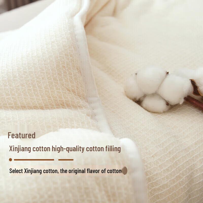 Xinjiang Cotton Cover Winter Quilt