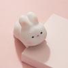 Slow Rebound Toy Comfortable Touch Cute Shape Soft Delicate Funny Entertainment TPR Little White Rabbit Decompression Toy for Children
