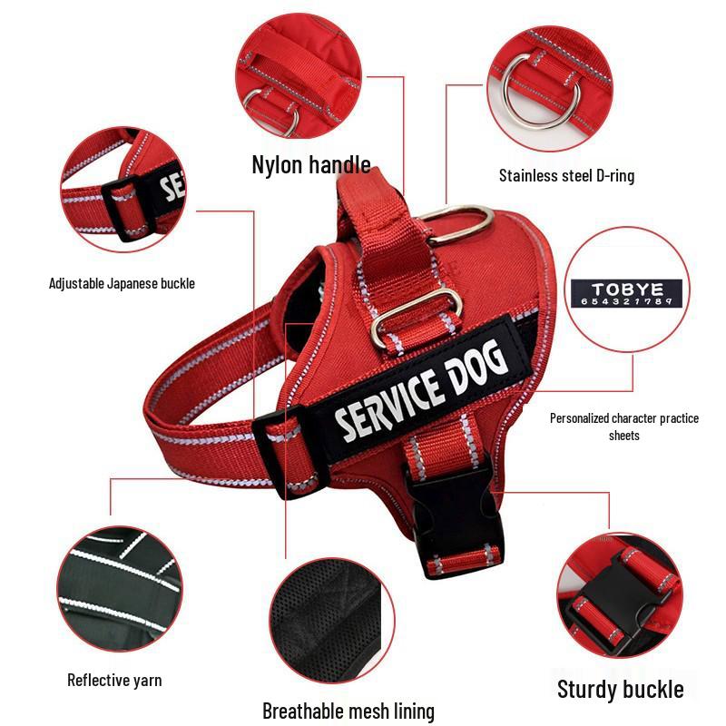 Personalized Reflective Dog Harness for Large Dogs