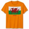 Wales Cymru Welsh Flag Unisex Tshirt Patriotic Welsh Pride Apparel