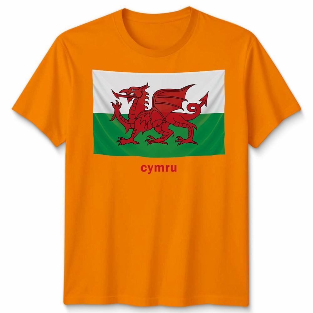 Wales Cymru Welsh Flag Unisex Tshirt Patriotic Welsh Pride Apparel