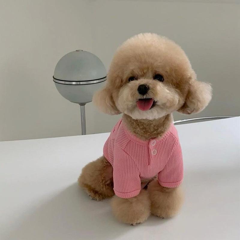 Autumn pet Teddy Bichon Pomeranian Maltese Yorkshire terrier small dog dog clothes autumn