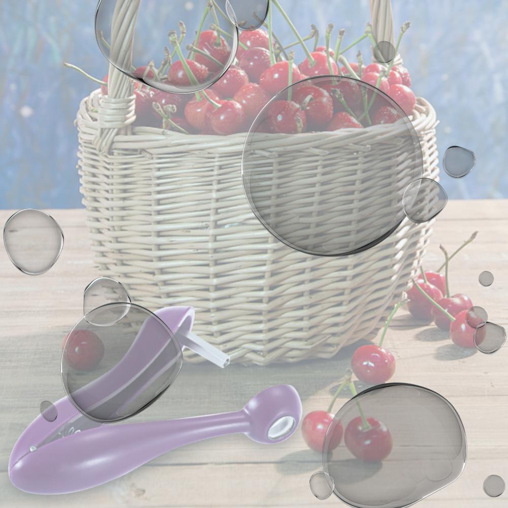 

Cherry Pitter Tool Multi-Function Fruit Pit Remover Heavy Duty Stainless Steel Cherry Pitter for Making Cherry Jam China Mainland