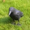 Exterior Simulation Black Crow Raven Bird Repellent Pest Control Pigeon Garden Decoration Outdoor