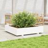VidaXL Planter White 110x110x26.5 Cm Solid Pine Wood, Outdoor Planter, Flower Box, Plant Box, 847324