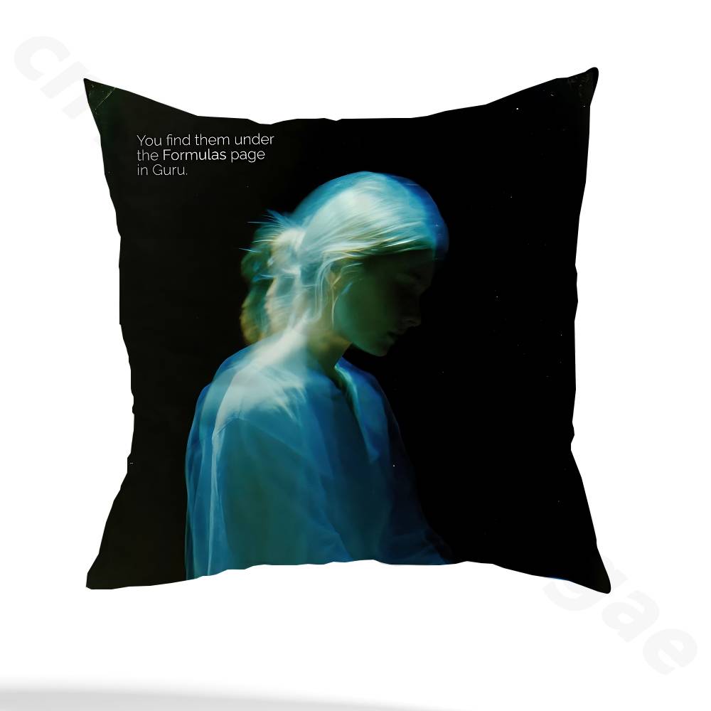 P-phoebe bridgers lost weekend Pillow Case Anti-dustmite Pillowcase Invisible zipper silky short plush Sofa cushion cover