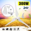 300W Wind Generator Wind Turbines Wind Turbines Generator with 3 Nylon Fiber Blades for Home Solar Light Boat