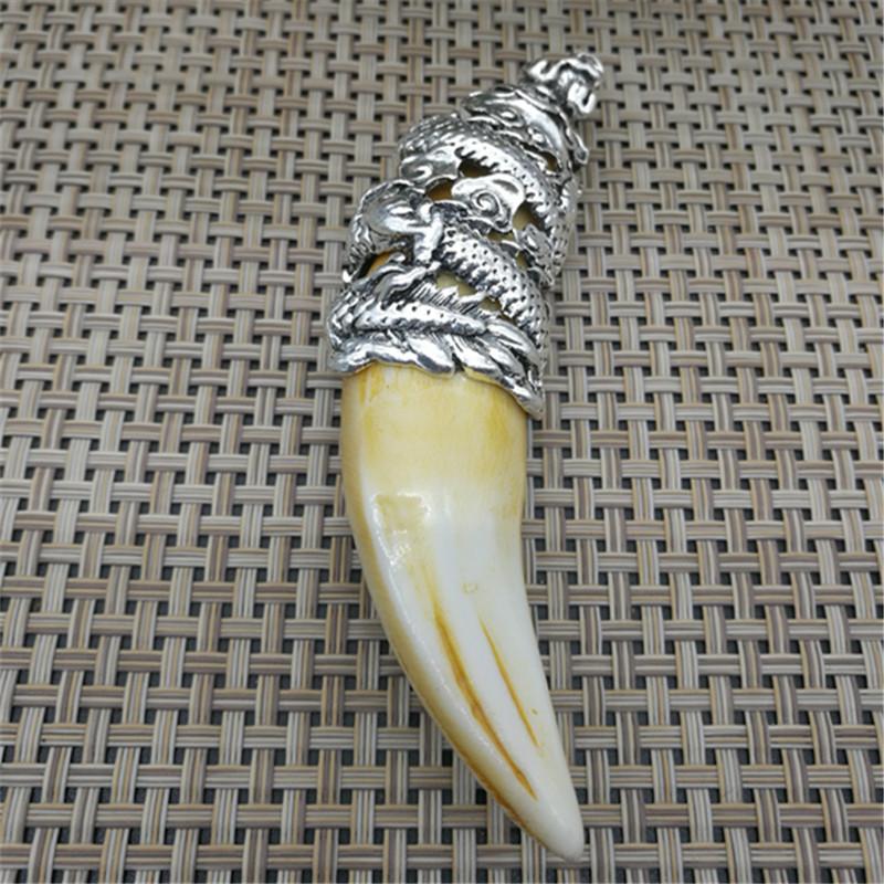 Chinese Antique Boars Tooth Wild Hog Silver Dragon Protective Talisman Pendant