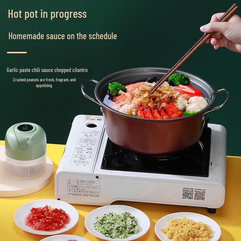 ZISIZ Electric Food Chopper & Garlic Mincer