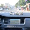 Veemoon Car Figurine Panda Cute Stylish Interior Dashboard Decoration Car Decoration Mini Tabletop Set of 6