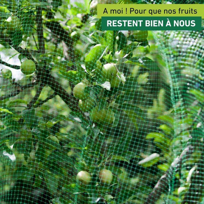 Filet de protection - windhager - 06014 - 10 x 4 m - vert - anti-oiseaux