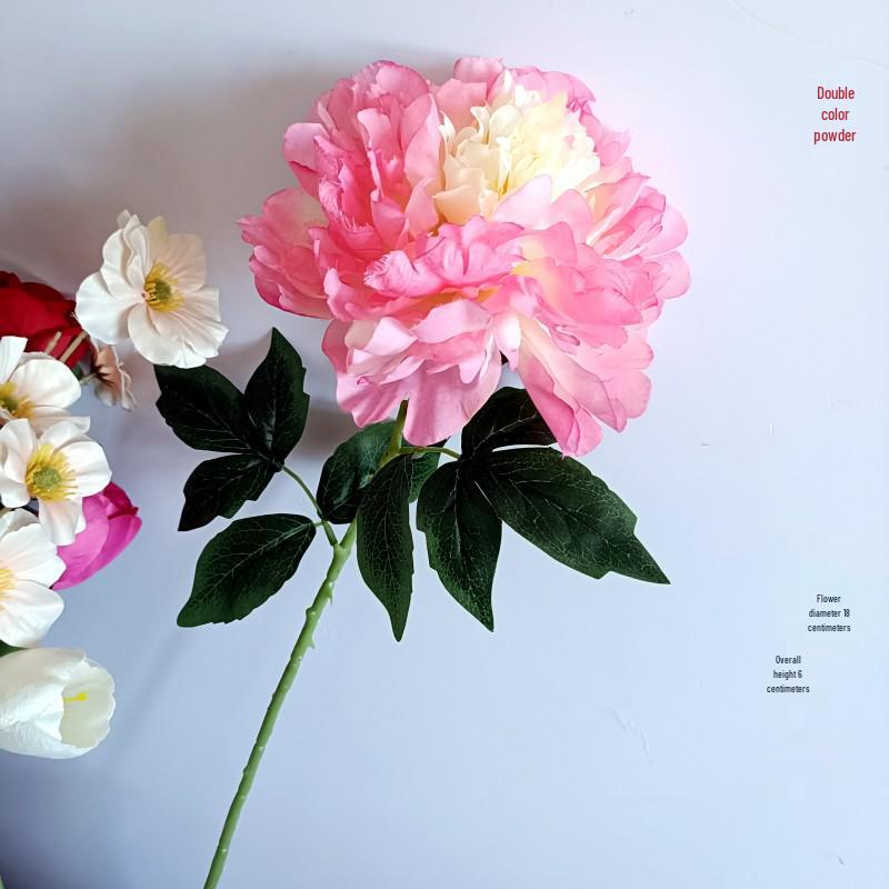 Pfingstrose Einzelstiel Große Seidenblume für Wohnzimmer- oder Hochzeitsdekoration