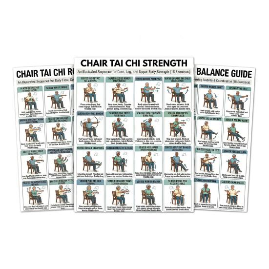 

3Pcs Chair Tai Chi Exercise Poster Set Seated Workout Chart for Seniors Low Impact Balance Strength Training Guide B