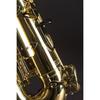 Yamaha Yamaha Alto Saxophone Standard YAS-280