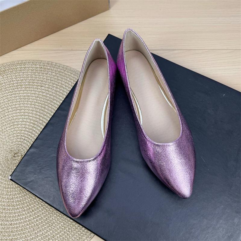 Fashion Flat Shoes for Women 2025 Spring and Autumn New Silver Women's Ladies Shoes Pointed Toe Plus Size Casual Women's Shoes